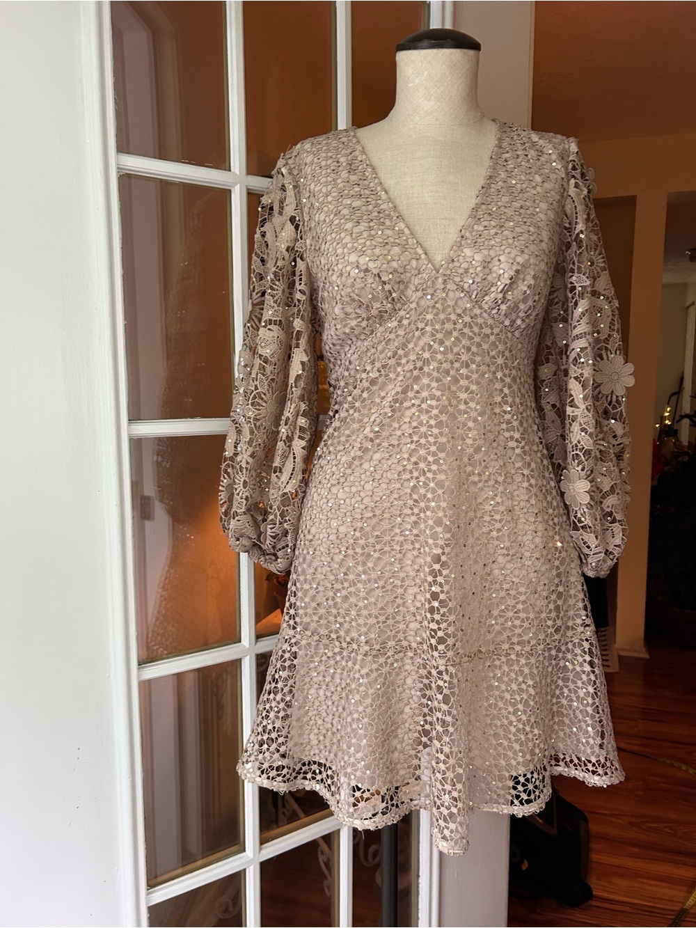 French Connection Nude Caballo Lace Sequined Mini Dress. Sz. 6 - Picture 4 of 15